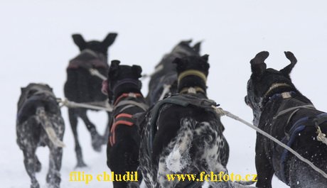 Tri studne zima 2009 - 0266.jpg